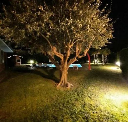 Lavanda * Albarella Island