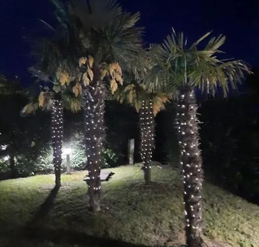 Lavanda * Albarella Island